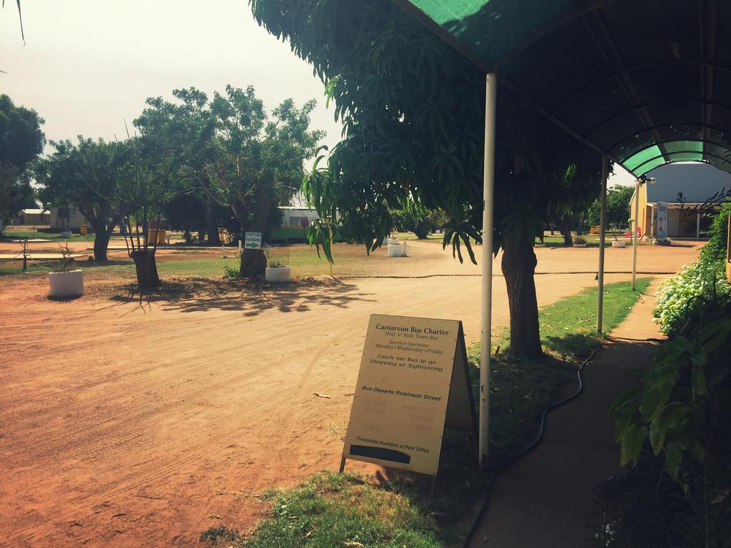 Carnarvon Caravan Park מראה חיצוני תמונה